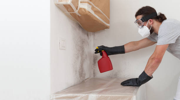 Professional Bathroom Mold Removal technician working in Massey, MD